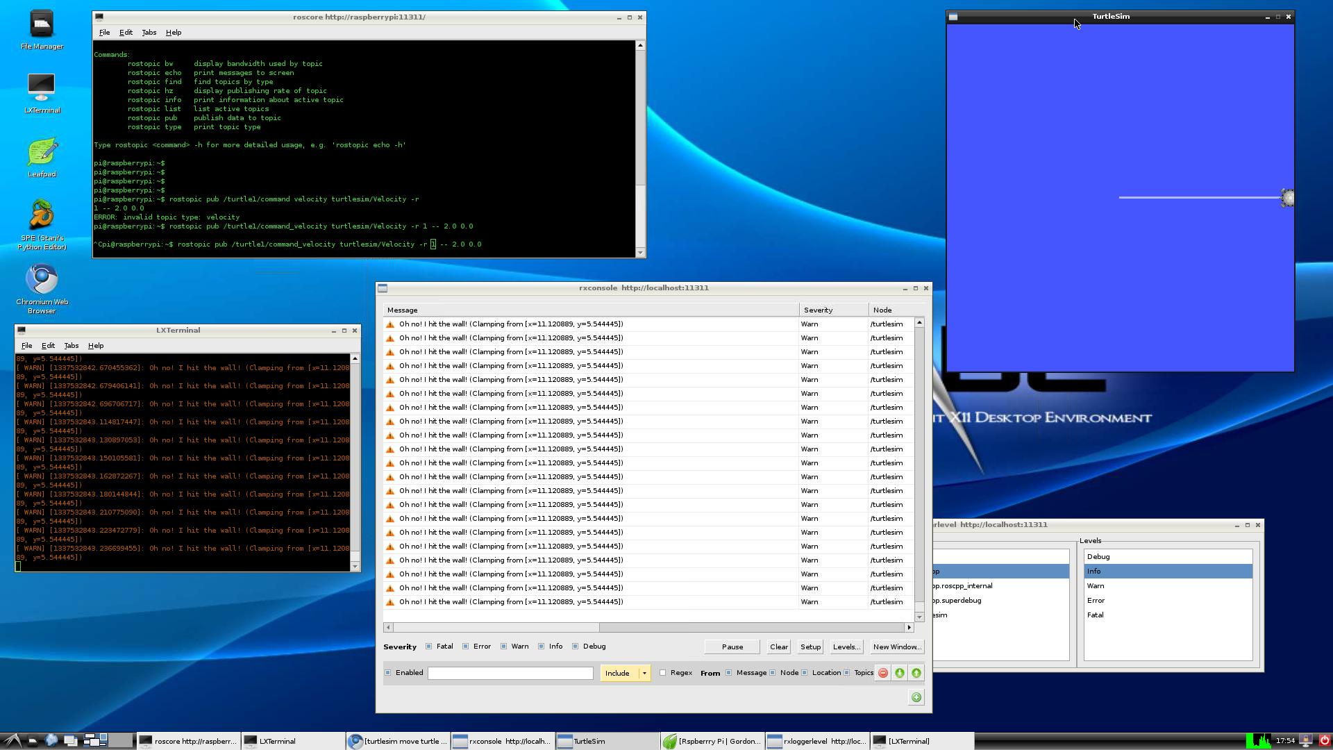 ROS Running On Raspberry Pi with Turtle Sim